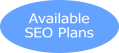 seo consultant services near me