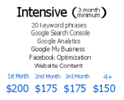 seo services consultant near me