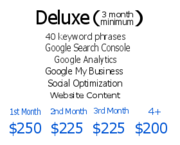 seo consultant services near me