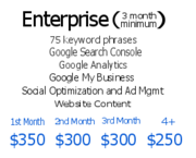 seo services consultant near me
